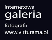 Ruszył ciekawy projekt wirtualnej galerii fotografii VIRTURAMA