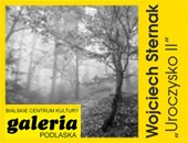Wystawa „Uroczysko II i Obrazy podróżne” Wojciech Sternaka w Galerii Podlaskiej 