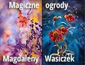 „Magiczne ogrody” Magdaleny Wasiczek w zamojskiej Galerii Fotografii Ratusz