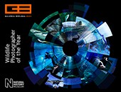 Fotografia Dzikiej Przyrody 2016 - polska premiera w Galerii Bielskiej BWA